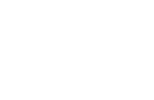 Custom