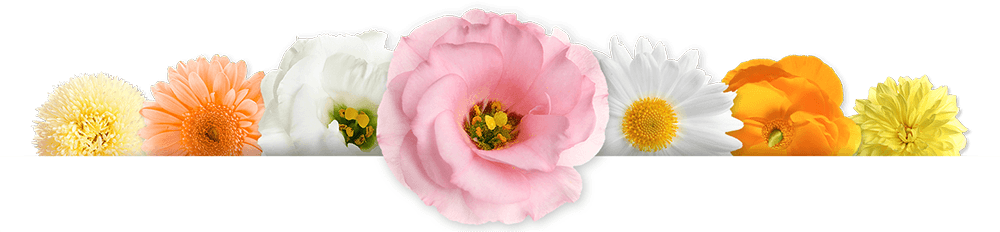 Gifts For Mom