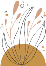 Floral Illustration Floral Illustration