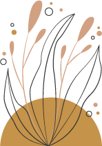 Floral Illustration Floral Illustration