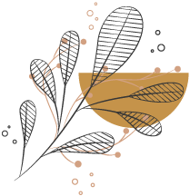 Floral Illustration Floral Illustration
