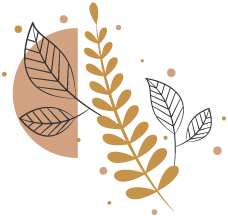 Floral Illustration Floral Illustration