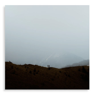 Album Cover Placeholder