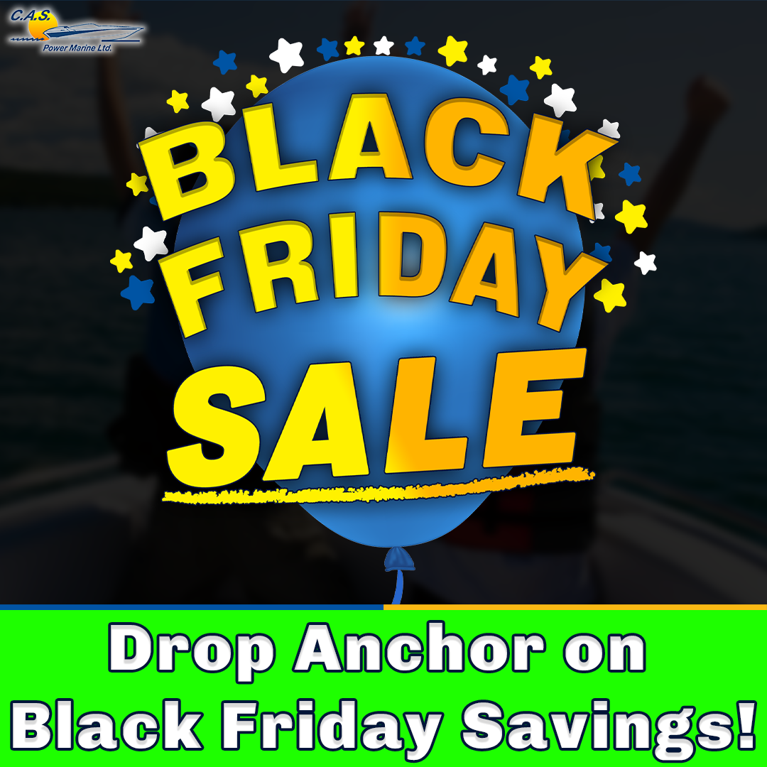 Black Friday Sale