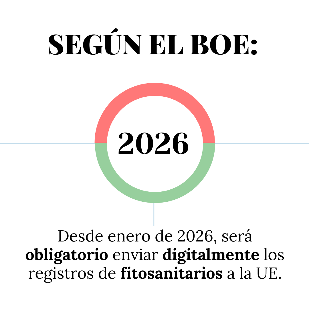 Texto alternativo