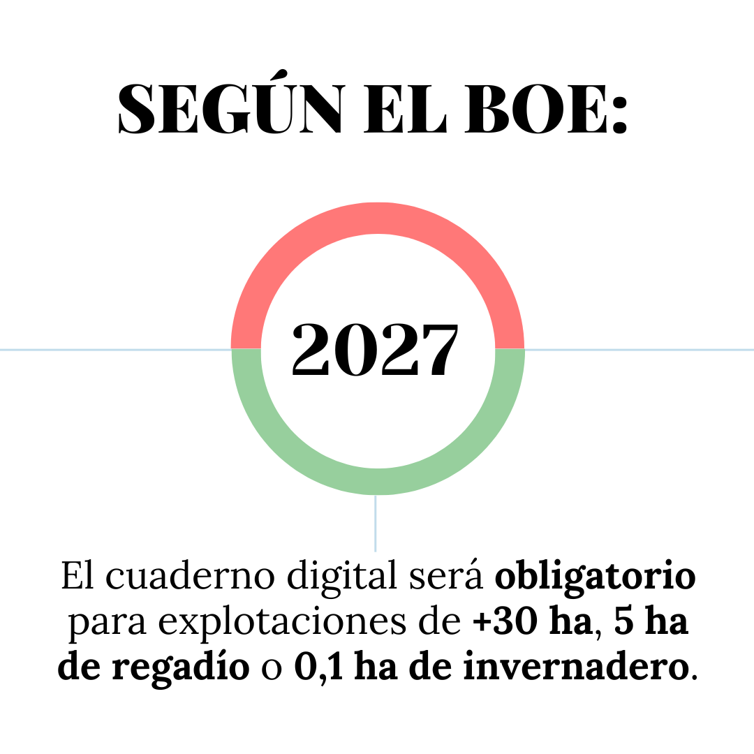 Texto alternativo