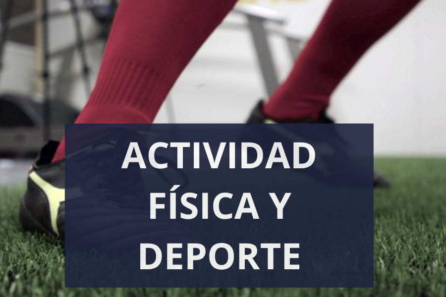 imagen imagen