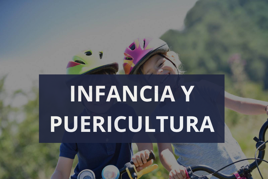 imagen imagen
