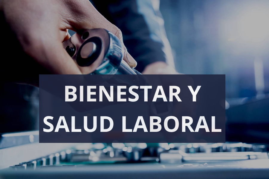 imagen imagen